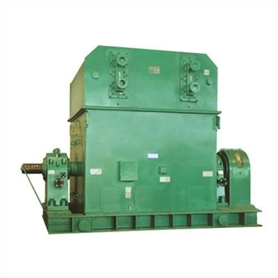 T Series Synchronous Motor