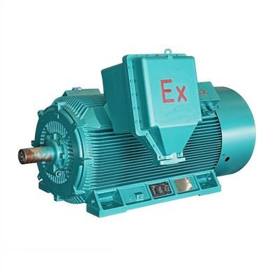 YB2 HV Explosion Proof Motor