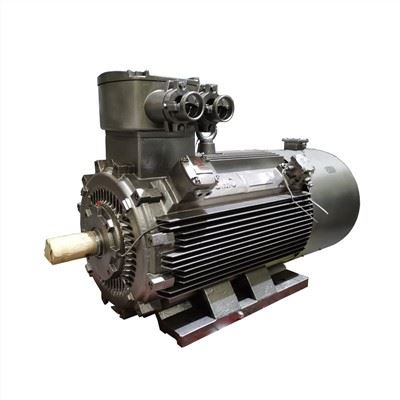 YBBP LV Explosion Proof Motor