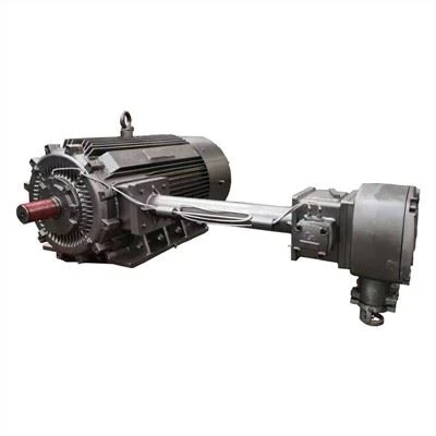 What is the maintenance requirement for the 6000v ex motor?