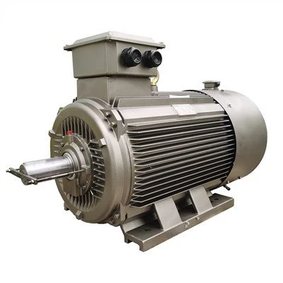 YE5 Series LV Motor