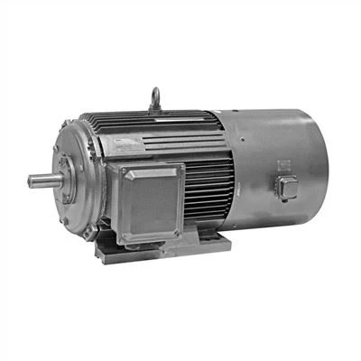 YVFE2 Variable Frequency LV Motor