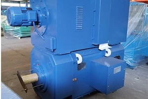 Z Series DC Motor
