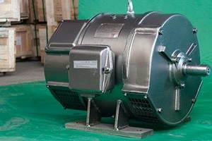 Z2 DC Motor Z2 DC Motor