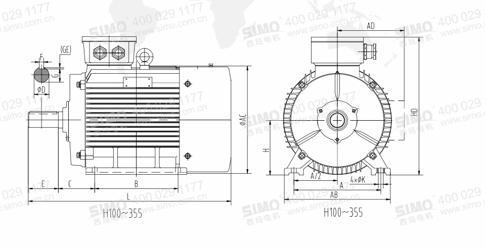 Tefc 3 Phase Squirrel Cage Induction Motor