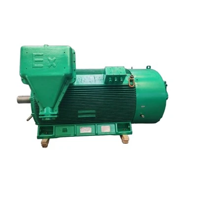 YBBP5604-6 HV Explosion-proof VVVF Three-phase Asynchronous Motor 1000kw