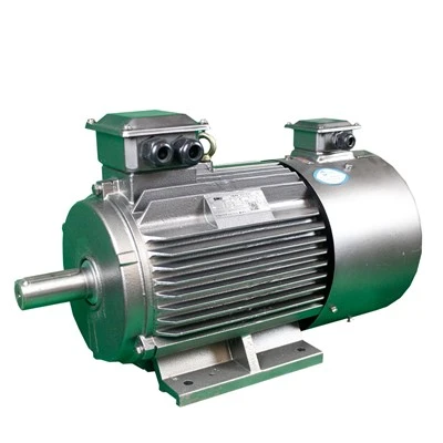 Permanent Magnet Rotor Motor